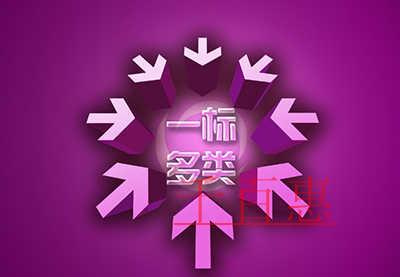 一標多類的意義及其優缺點