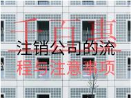 注銷公司的流程與注意事項