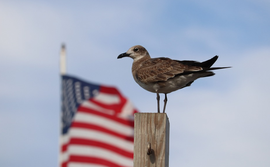 在美國持L1簽證可以在美國待多久？