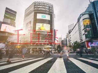 契稅、土地增值稅計稅依據該不該包含增值稅？