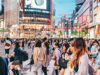 社保新規定新政策