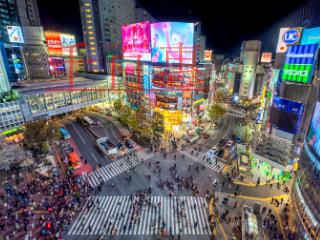 馳名商標的保護、與普通商標的區別 馳名商標的保護、與普通商標的區別