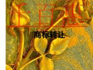 商標轉(zhuǎn)讓的形式和潛在問題? 商標轉(zhuǎn)讓的形式和潛在問題?